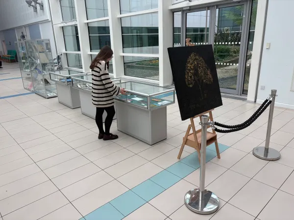 The Exhibition